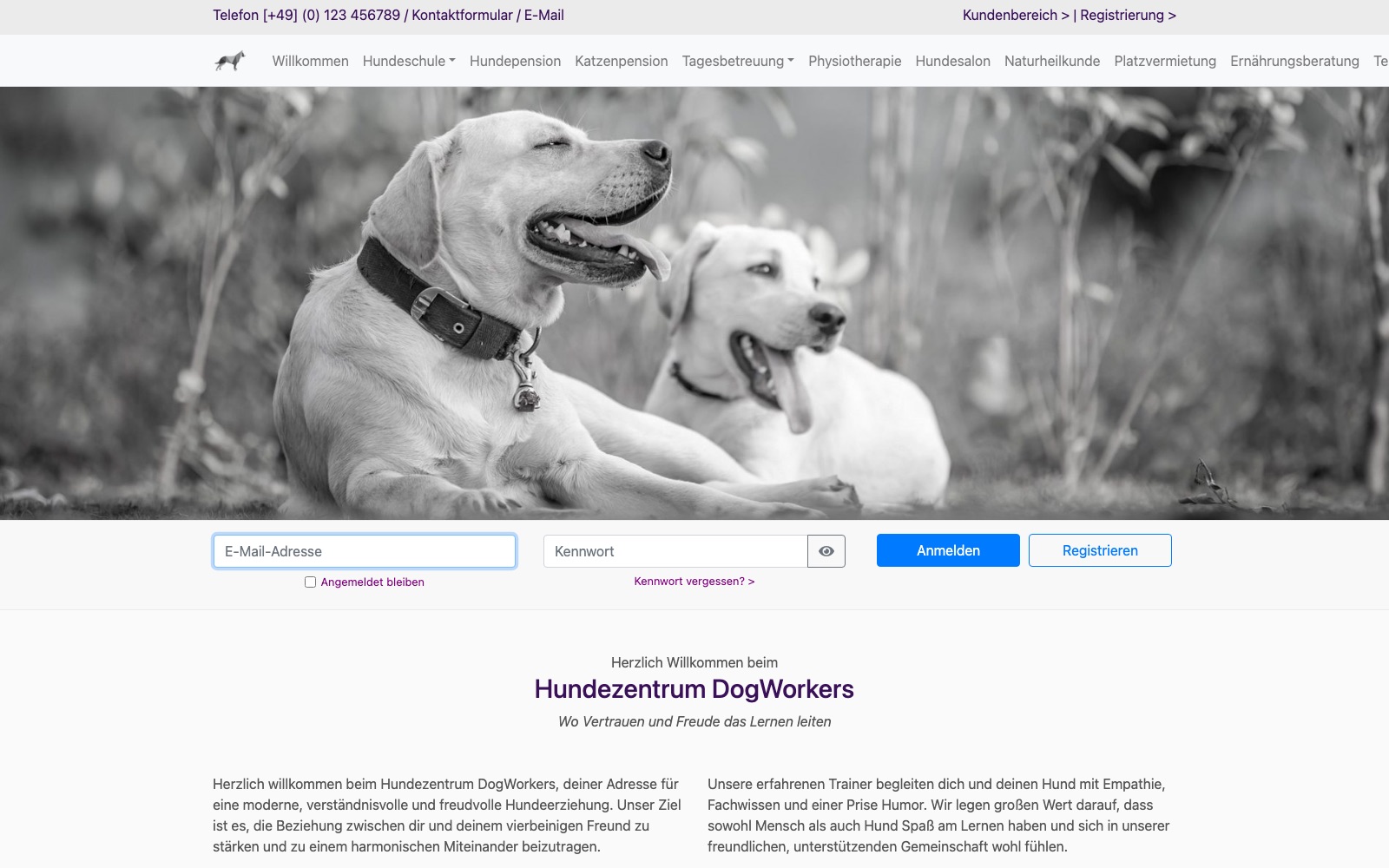 Das Kundenportal, wie deine Kunden es sehen.
