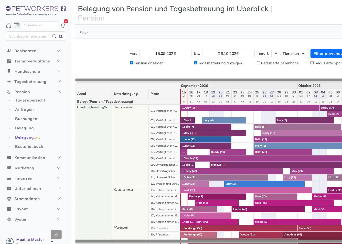 Belegung plus als Zeitleiste mit Areal, Unterbringung und Platz je Zeile und farbigen Balken je Aufenthalt