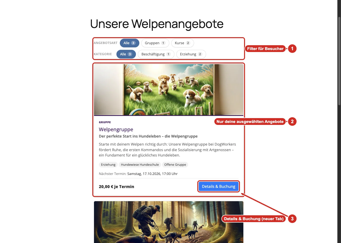 WordPress-Seite Unsere Welpenangebote mit Filtern und Angebotskarten