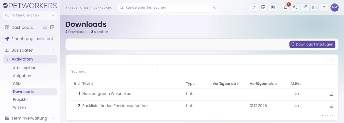 Die Downloads mit Typ, Verfügbarkeitszeitraum und Aktiv-Status.