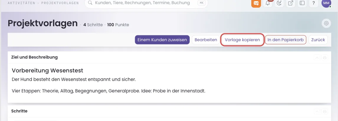 Geöffnete Vorlage mit markiertem Knopf Vorlage kopieren