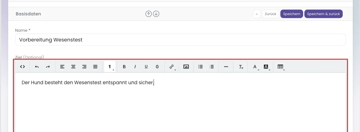 Formular mit markiertem Textfeld Ziel
