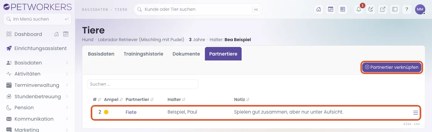 Der Reiter Partnertiere mit einer gelben Verknüpfung