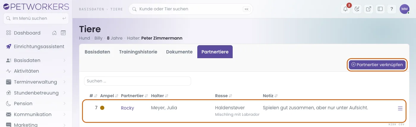 Der Reiter Partnertiere mit einer gelben Verknüpfung