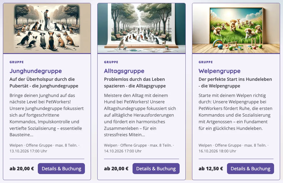 Angebote auf der Website aus Kundensicht