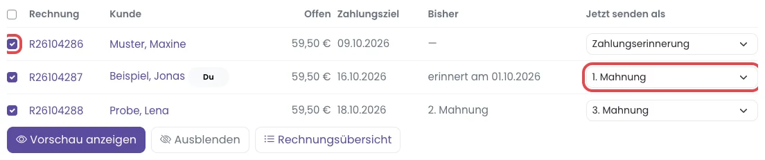 Liste der fälligen Rechnungen mit Haken und Auswahl der Stufe, beides rot markiert