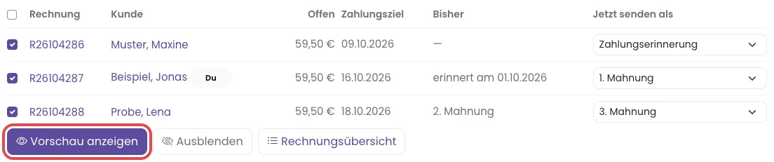 Liste der fälligen Rechnungen, der Knopf Vorschau anzeigen ist rot markiert