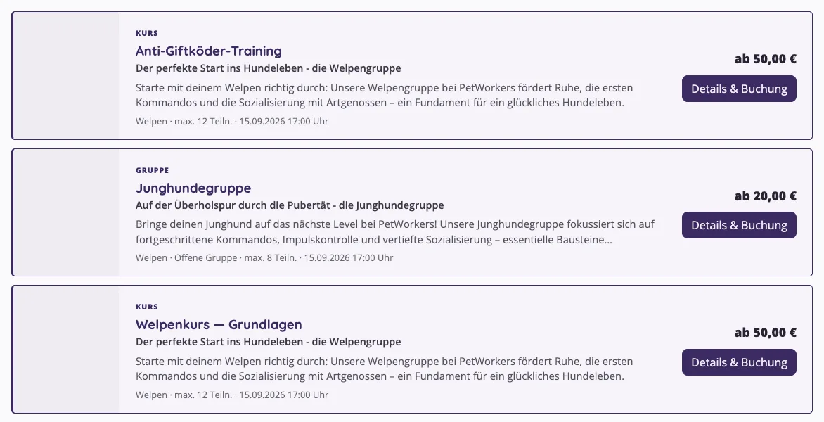 Angebotsliste auf der Website mit Kurs- und Gruppeneinträgen