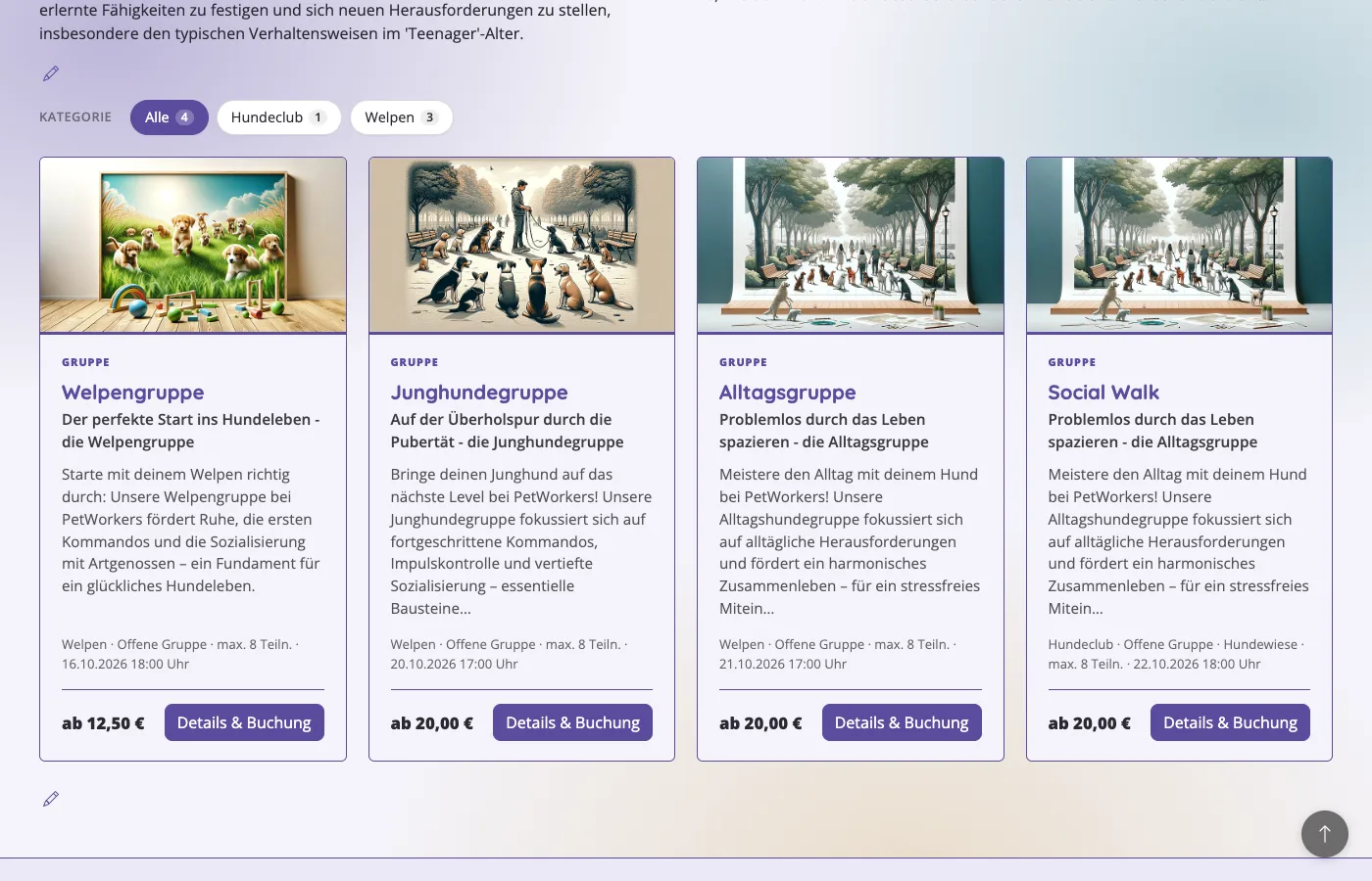 Angebote auf der Website mit Kategorie-Filter und vier Karten