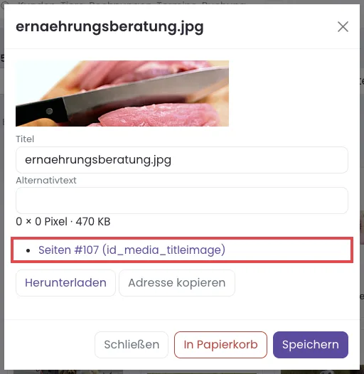 Das Bildfenster mit Titel, Alternativtext, Verwendungen und dem Knopf In Papierkorb