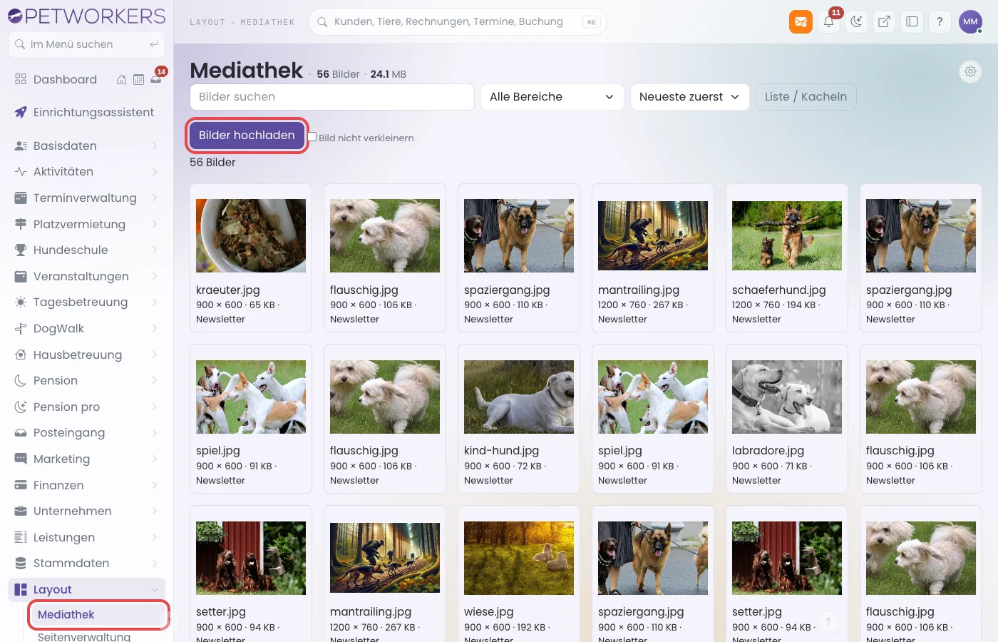 Die Mediathek mit dem Menüpunkt Mediathek und dem Knopf Bilder hochladen