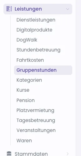 Aufgeklapptes Menü Leistungen