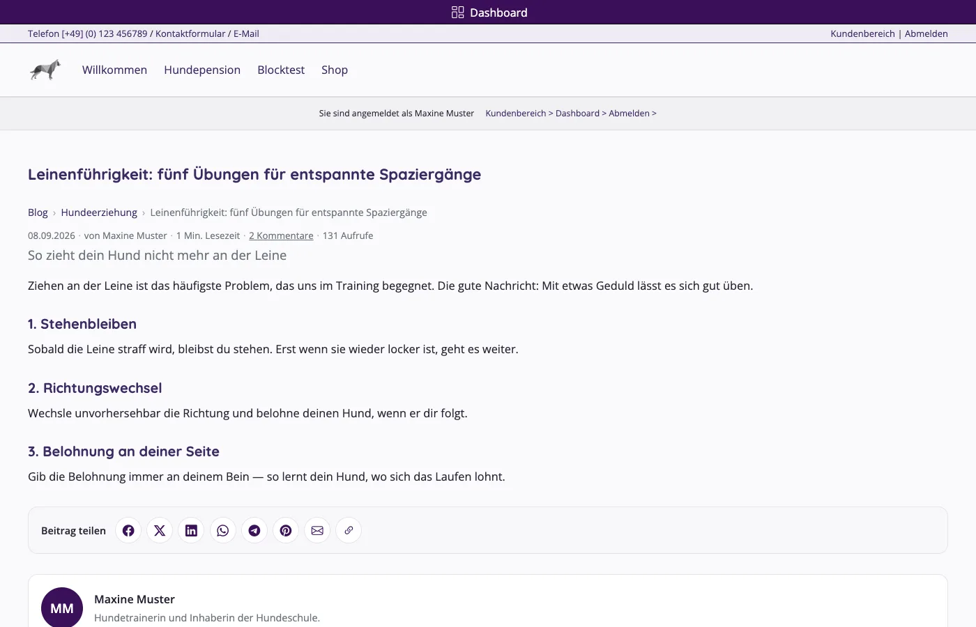 Blogbeitrag auf der Website mit Überschrift, Rubrik, Datum, Autor und Text