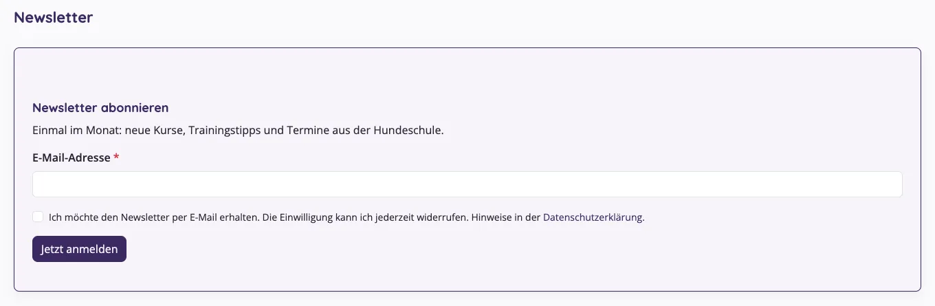 Block Newsletter-Anmeldung auf einer Seite mit Überschrift, Text, E-Mail-Feld, Einwilligungs-Häkchen und Knopf