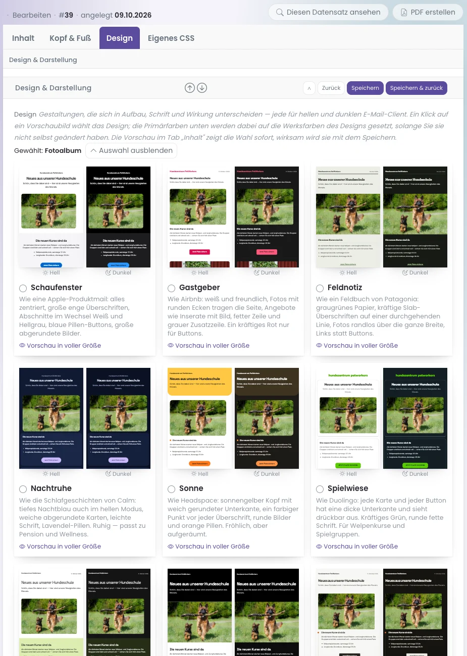 Reiter Design des Newsletters mit Designkarten, Primärfarben und Basisbreite