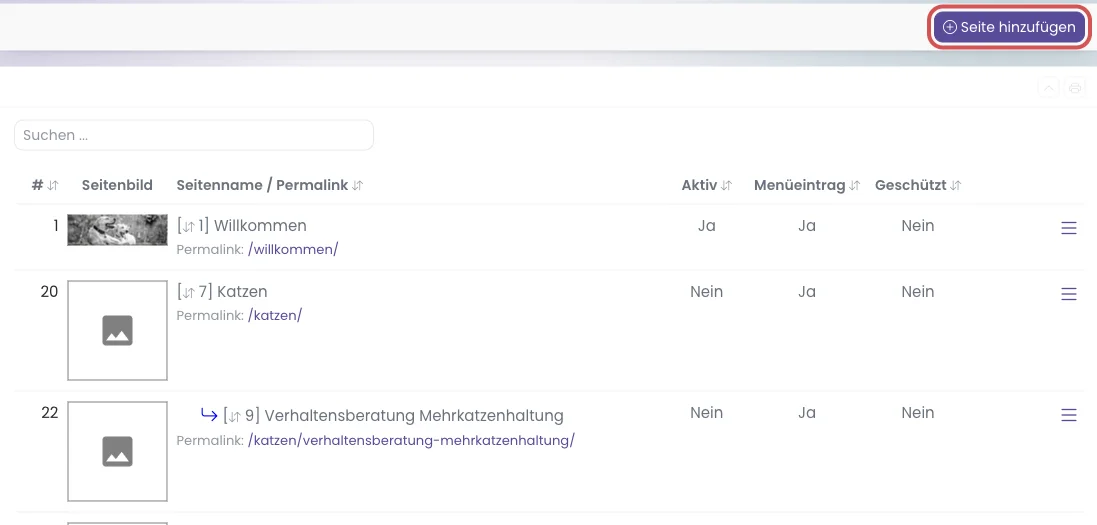 Seitenverwaltung mit dem Knopf Seite hinzufügen