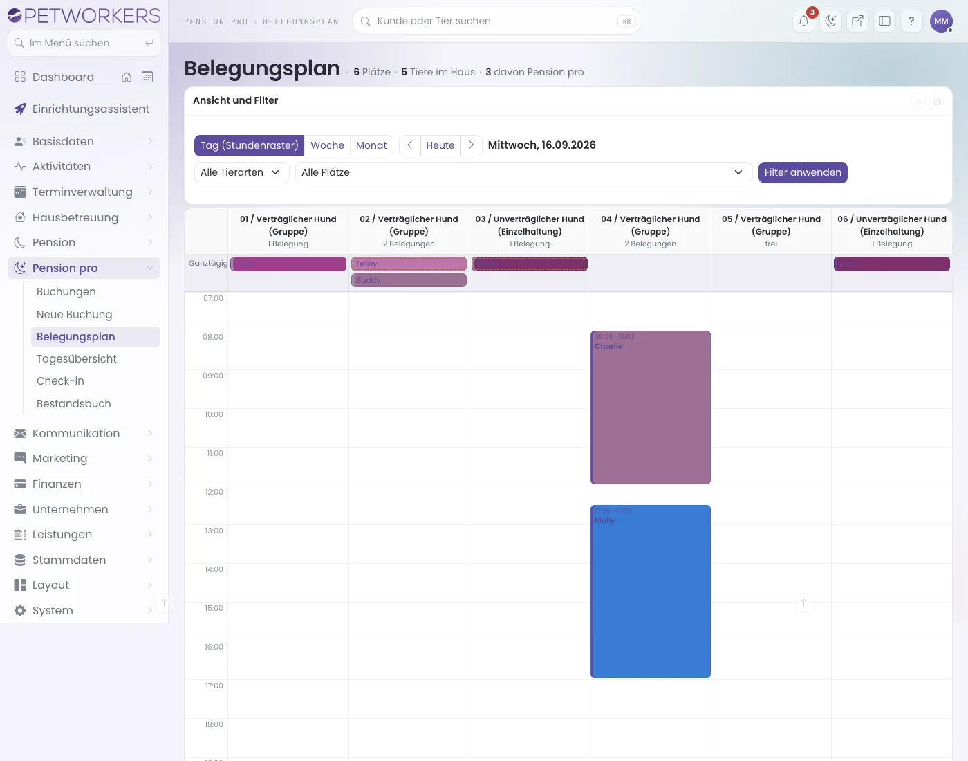 Belegungsplan Pension pro, Tagesansicht mit Stundenraster