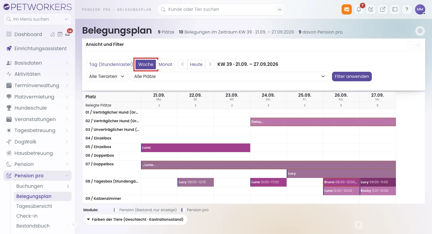 Belegungsplan Pension pro, Wochenansicht mit stundenweisen Belegungen auf der Tagesbox