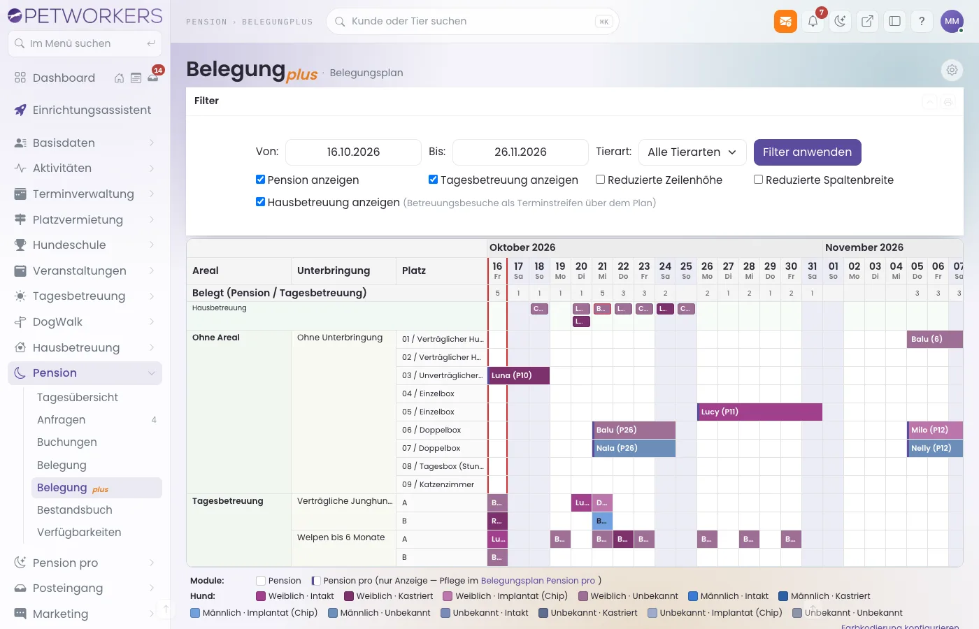 Pension → Belegung plus mit Balken je Buchung und dem Band Hausbetreuung