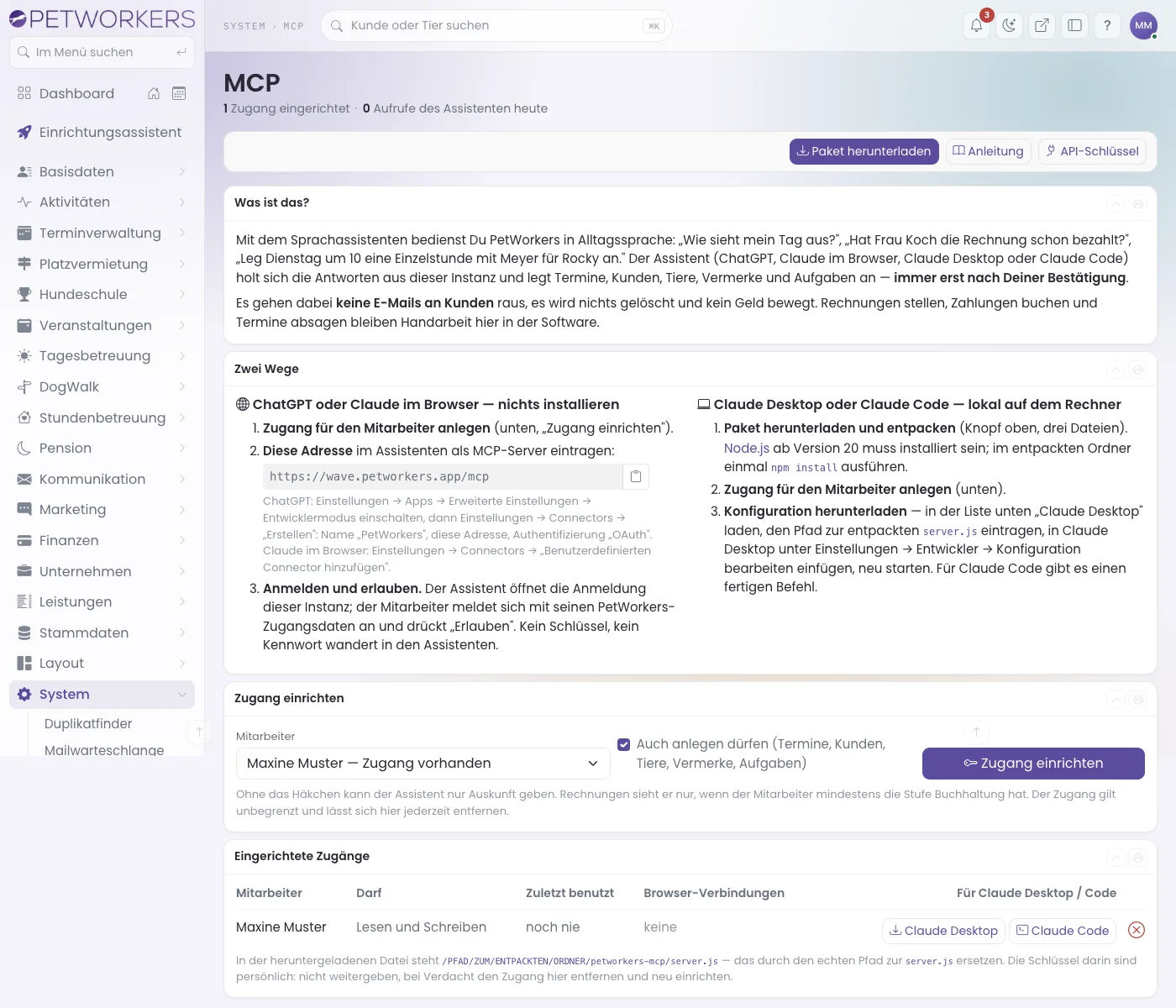 Die Seite System MCP mit Erklärung, den zwei Wegen und dem Kasten Zugang einrichten