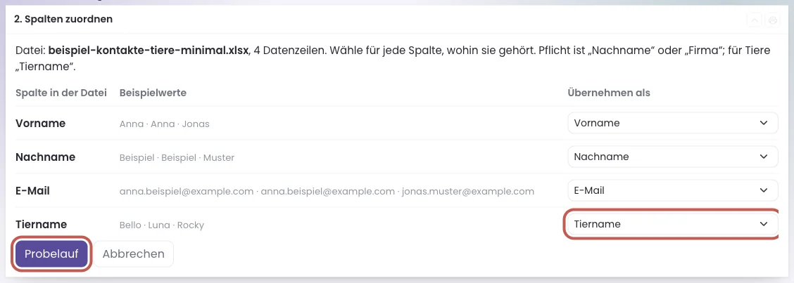 Der Kasten 2. Spalten zuordnen mit vier Spalten aus der Minimal-Datei und dem Knopf Probelauf