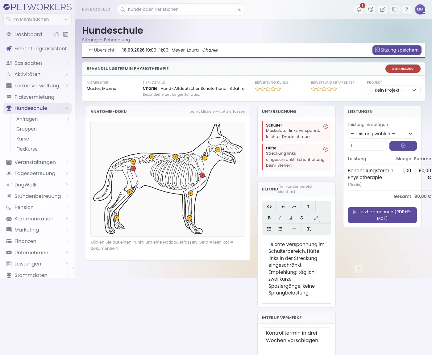 Sitzungsmaske Behandlung mit Anatomie-Skizze, Untersuchung, Befund und Leistungen