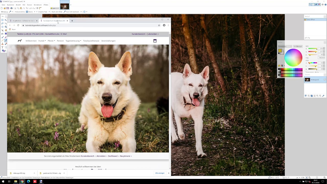 Tutorial 9b: Bilder bearbeiten & einfügen